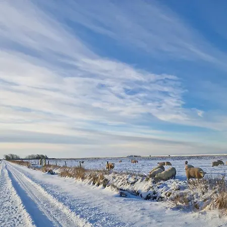 Hus Meeresbrise アパート Arrild